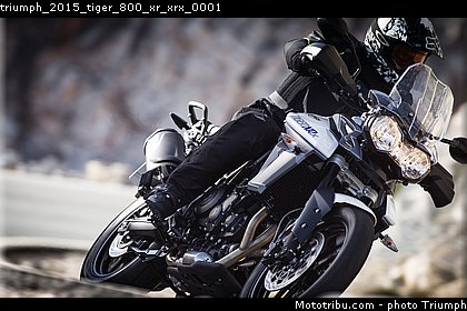 triumph_2015_tiger_800_xr_xrx_0001.jpg