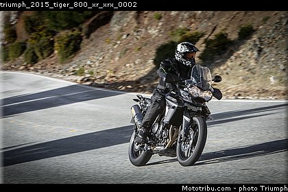 triumph_2015_tiger_800_xr_xrx_0002.jpg