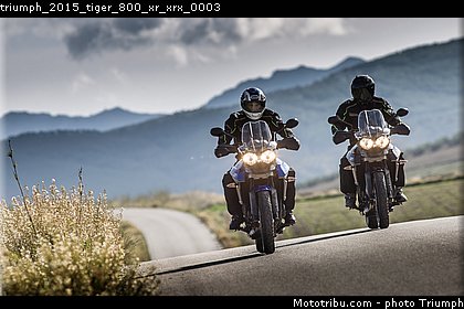 triumph_2015_tiger_800_xr_xrx_0003.jpg