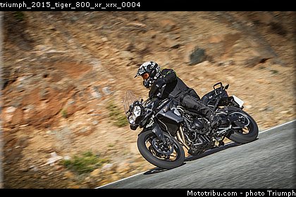 triumph_2015_tiger_800_xr_xrx_0004.jpg