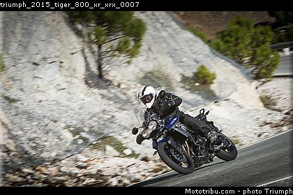 triumph_2015_tiger_800_xr_xrx_0007.jpg