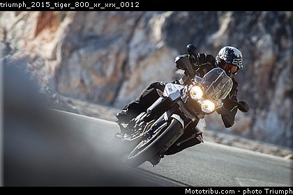 triumph_2015_tiger_800_xr_xrx_0012.jpg