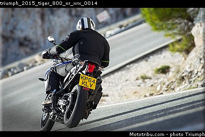 triumph_2015_tiger_800_xr_xrx_0014.jpg