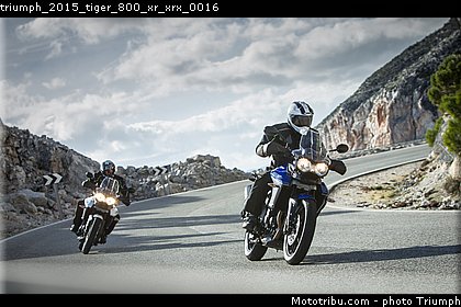 triumph_2015_tiger_800_xr_xrx_0016.jpg