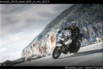 triumph_2015_tiger_800_xr_xrx_0019.jpg