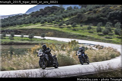 triumph_2015_tiger_800_xr_xrx_0021.jpg