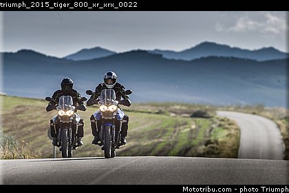 triumph_2015_tiger_800_xr_xrx_0022.jpg