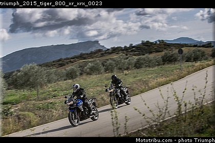 triumph_2015_tiger_800_xr_xrx_0023.jpg