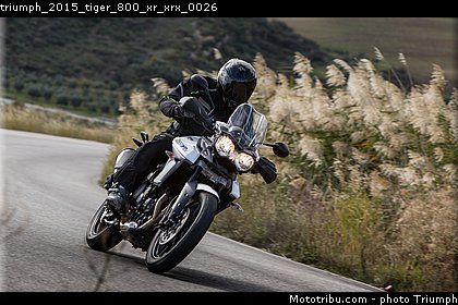 triumph_2015_tiger_800_xr_xrx_0026.jpg