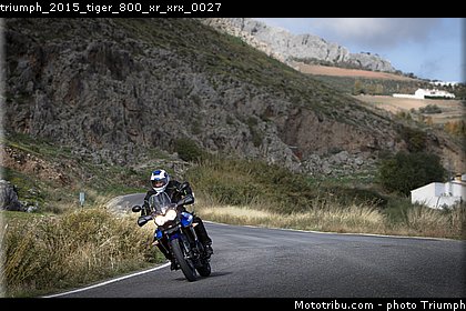 triumph_2015_tiger_800_xr_xrx_0027.jpg