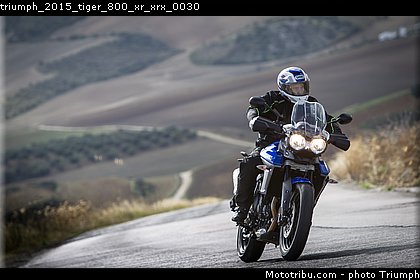 triumph_2015_tiger_800_xr_xrx_0030.jpg