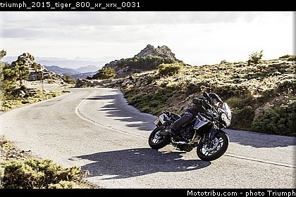 triumph_2015_tiger_800_xr_xrx_0031.jpg