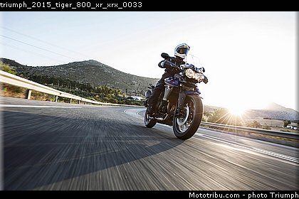 triumph_2015_tiger_800_xr_xrx_0033.jpg