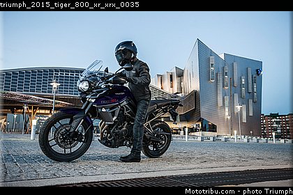 triumph_2015_tiger_800_xr_xrx_0035.jpg