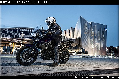 triumph_2015_tiger_800_xr_xrx_0036.jpg