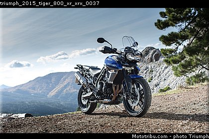 triumph_2015_tiger_800_xr_xrx_0037.jpg