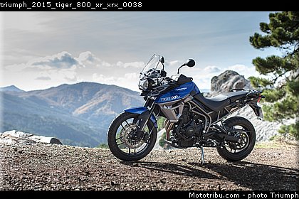 triumph_2015_tiger_800_xr_xrx_0038.jpg