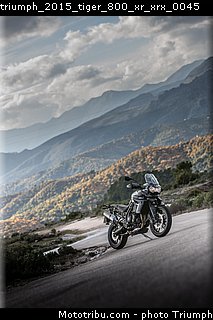 triumph_2015_tiger_800_xr_xrx_0045.jpg
