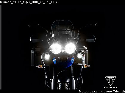 triumph_2015_tiger_800_xr_xrx_0079.jpg