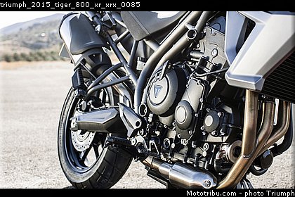 triumph_2015_tiger_800_xr_xrx_0085.jpg