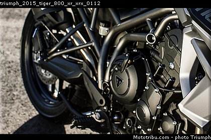 triumph_2015_tiger_800_xr_xrx_0112.jpg