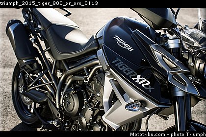 triumph_2015_tiger_800_xr_xrx_0113.jpg