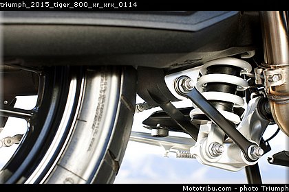 triumph_2015_tiger_800_xr_xrx_0114.jpg