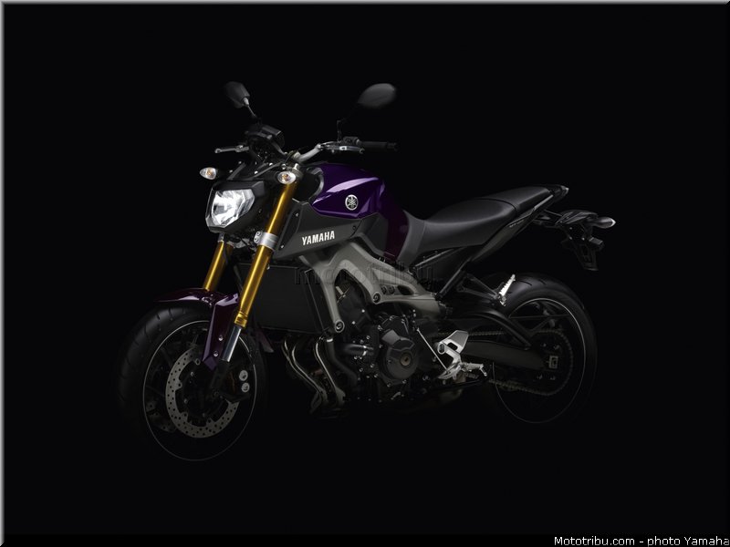 yamaha_2014_mt09_020