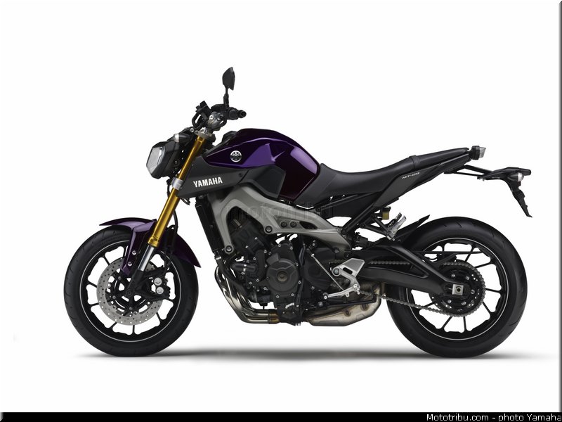yamaha_2014_mt09_024