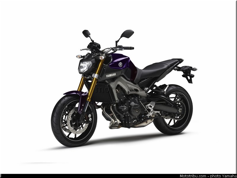 yamaha_2014_mt09_025