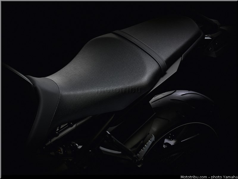 yamaha_2014_mt09_062