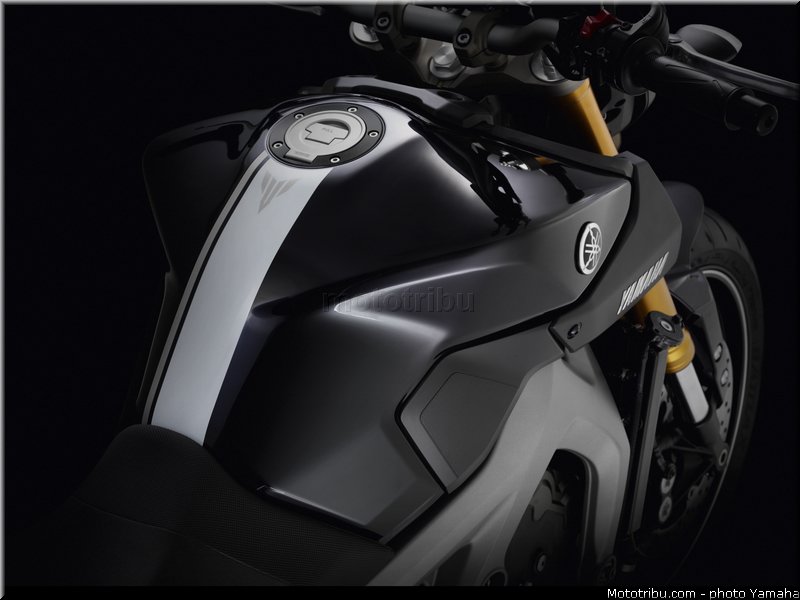 yamaha_2014_mt09_068