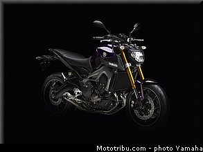 yamaha_2014_mt09_019.jpg