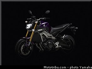 yamaha_2014_mt09_020.jpg