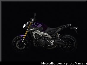 yamaha_2014_mt09_021.jpg