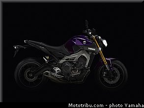 yamaha_2014_mt09_022.jpg