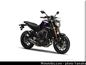 yamaha_2014_mt09_023.jpg