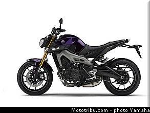 yamaha_2014_mt09_024.jpg
