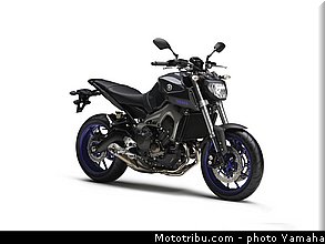 yamaha_2014_mt09_031.jpg
