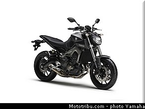 yamaha_2014_mt09_035.jpg