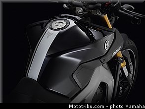 yamaha_2014_mt09_068.jpg