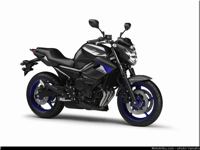 xj6n_yamaha_2014_race_blu