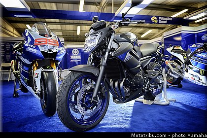 1_yamaha_2014_race_blu.jpg
