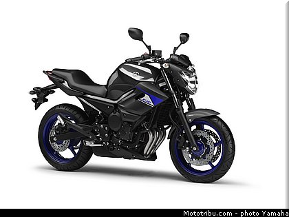 xj6n_yamaha_2014_race_blu.jpg