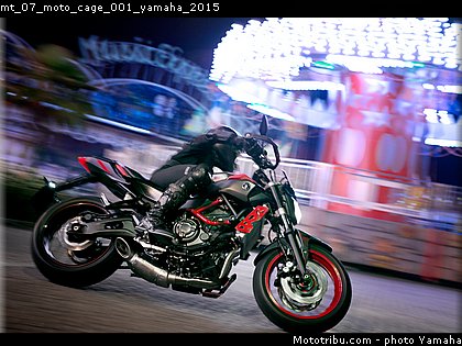 mt_07_moto_cage_001_yamaha_2015.jpg