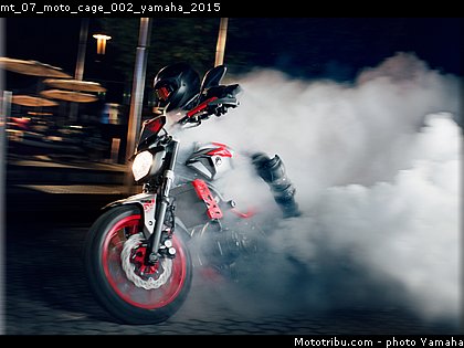mt_07_moto_cage_002_yamaha_2015.jpg