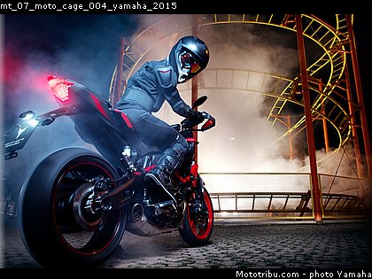 mt_07_moto_cage_004_yamaha_2015.jpg