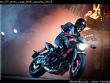 mt_07_moto_cage_005_yamaha_2015.jpg