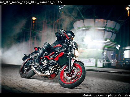 mt_07_moto_cage_006_yamaha_2015.jpg