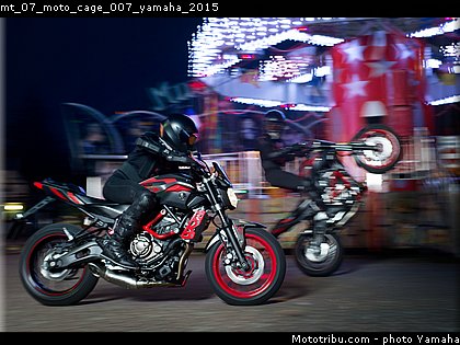 mt_07_moto_cage_007_yamaha_2015.jpg